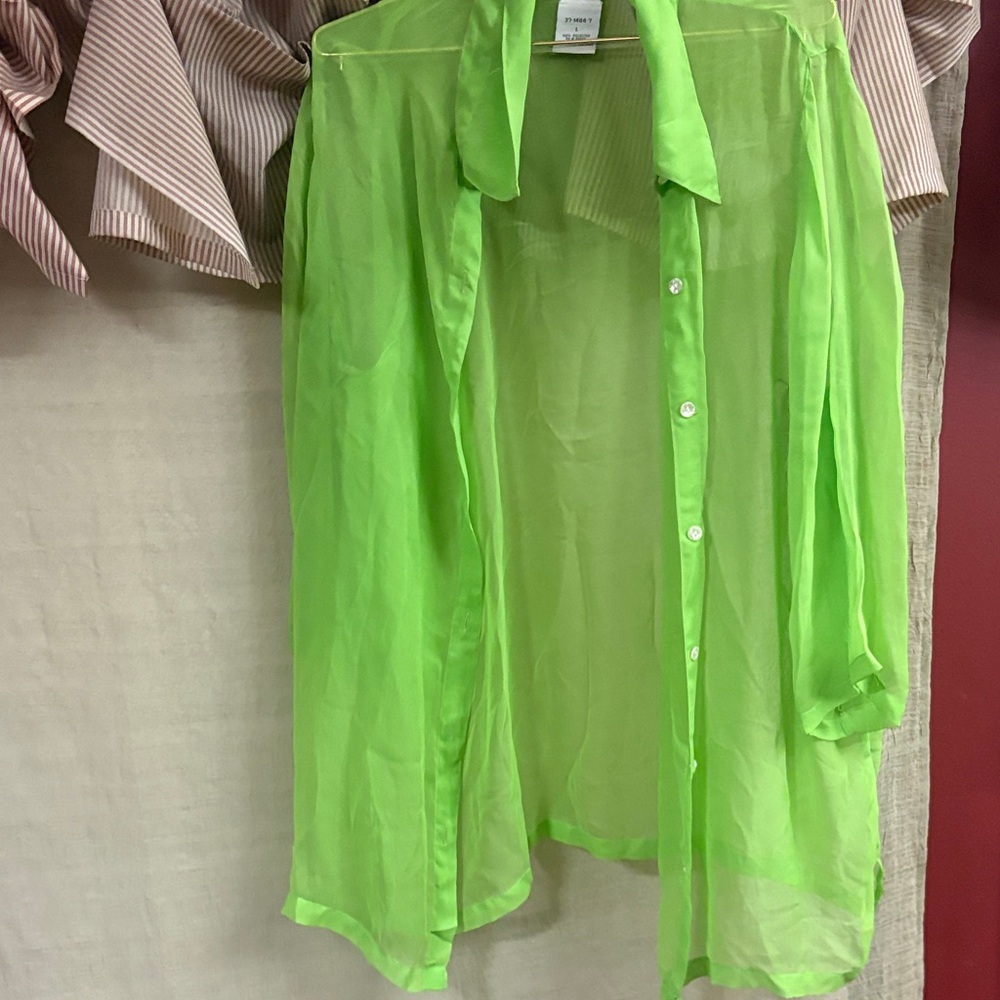 Roaman's Light Green Sheer Blouse